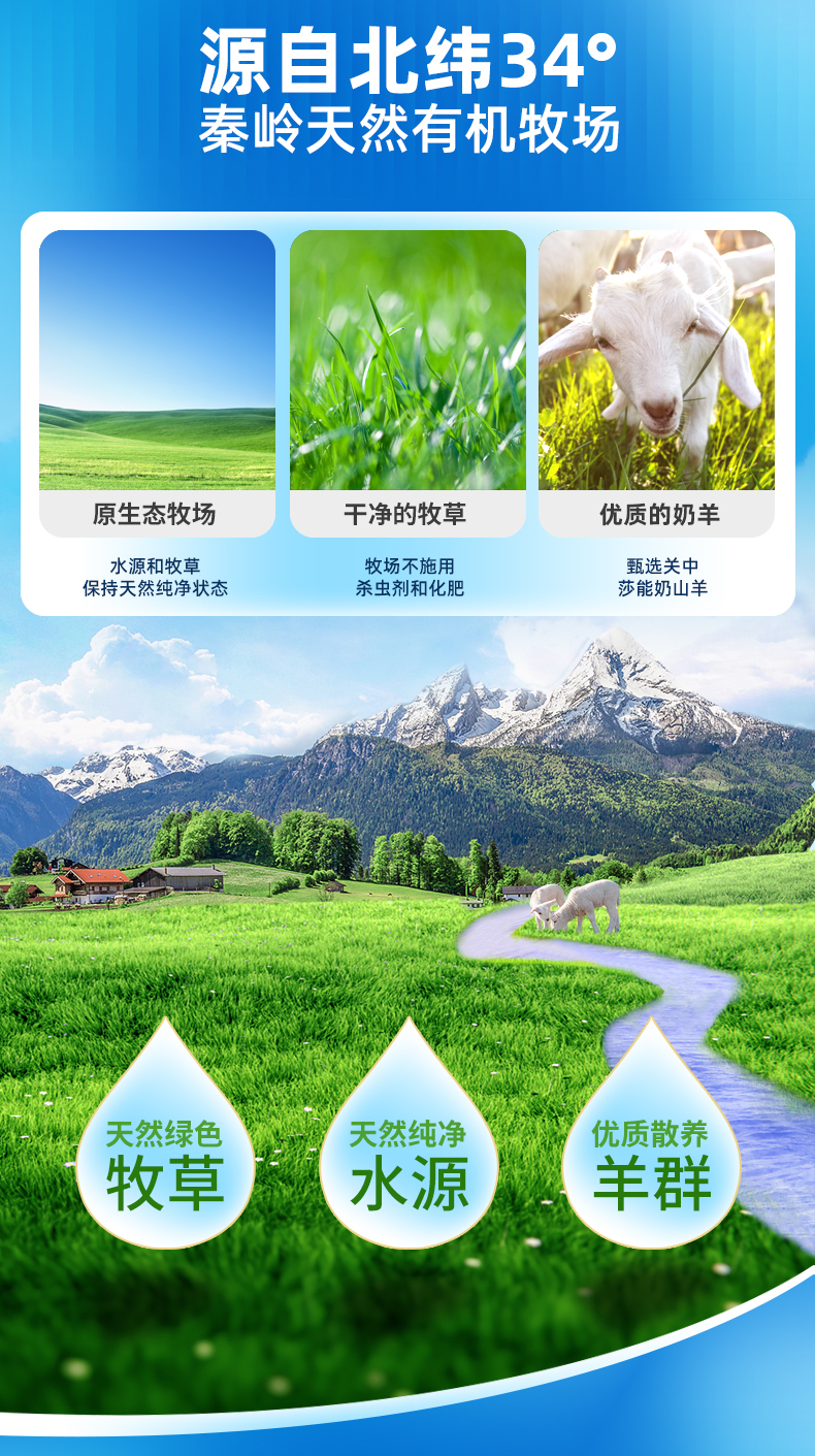 詳情04.jpg